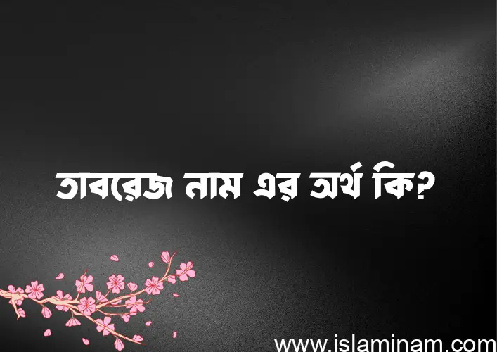 তাবরেজ নামের অর্থ কি? তাবরেজ নামের বাংলা, আরবি/ইসলামিক অর্থসমূহ