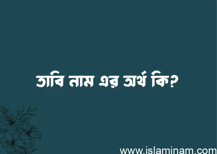 তাবি নামের অর্থ কি? তাবি নামের বাংলা, আরবি/ইসলামিক অর্থসমূহ