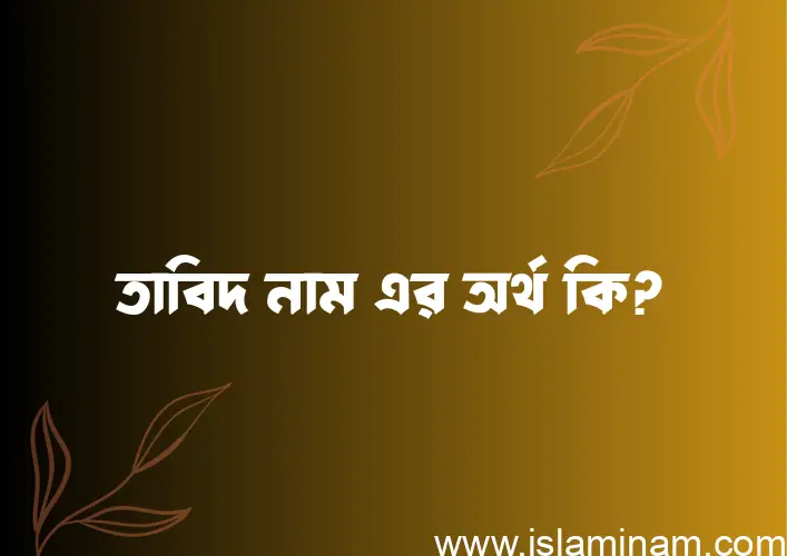 তাবিদ নামের আর্থ কি?