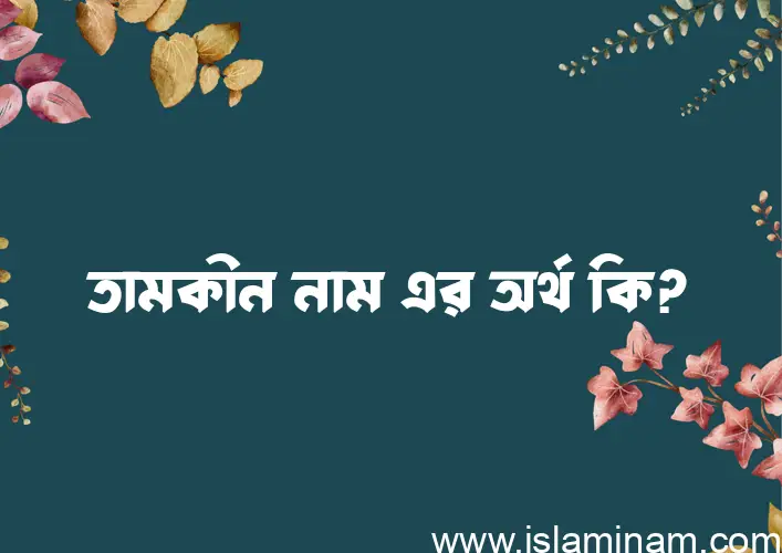 তামকীন নামের অর্থ কি? ইসলামিক আরবি বাংলা অর্থ এবং নামের তাৎপর্য