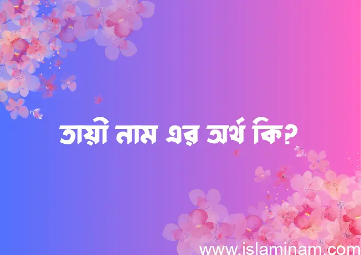 তায়ী নামের আর্থ কি?