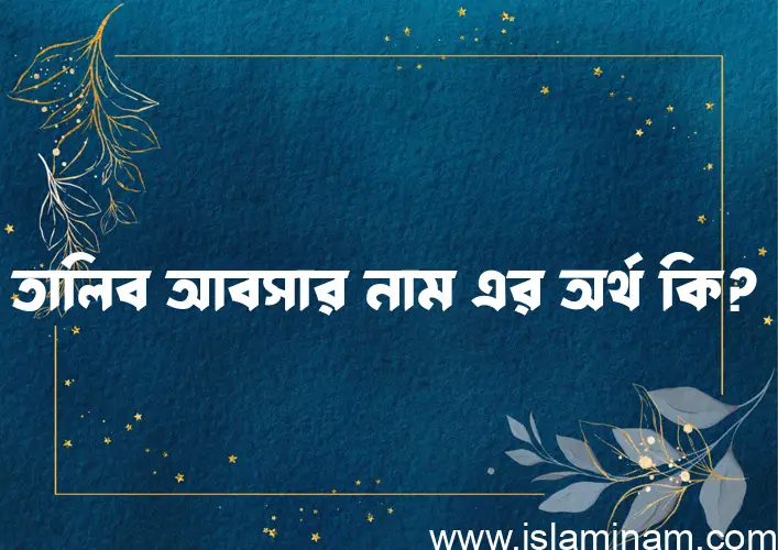 তালিব আবসার নামের অর্থ কি? ইসলামিক আরবি বাংলা অর্থ