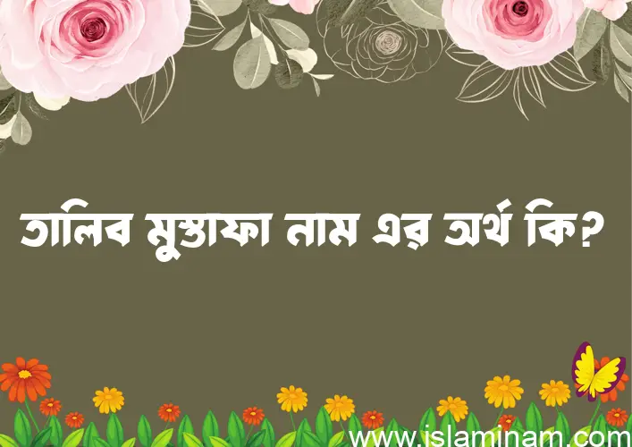 তালিব মুস্তাফা নামের অর্থ কি? তালিব মুস্তাফা নামের বাংলা, আরবি/ইসলামিক অর্থসমূহ