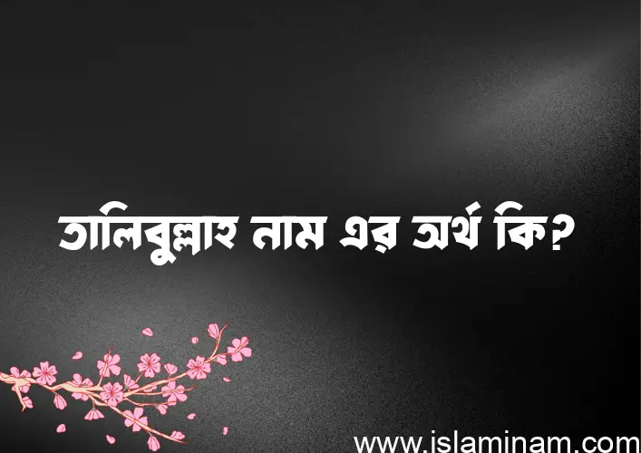 তালিবুল্লাহ নামের অর্থ কি? তালিবুল্লাহ নামের বাংলা, আরবি/ইসলামিক অর্থসমূহ