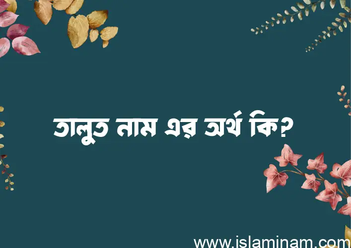 তালুত নামের আর্থ কি?