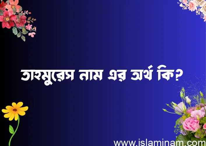 তাহমুরেস নামের অর্থ কি? ইসলামিক আরবি বাংলা অর্থ এবং নামের তাৎপর্য