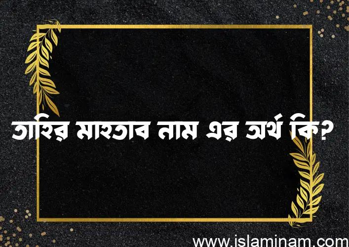 তাহির মাহতাব নামের অর্থ কি? ইসলামিক আরবি বাংলা অর্থ