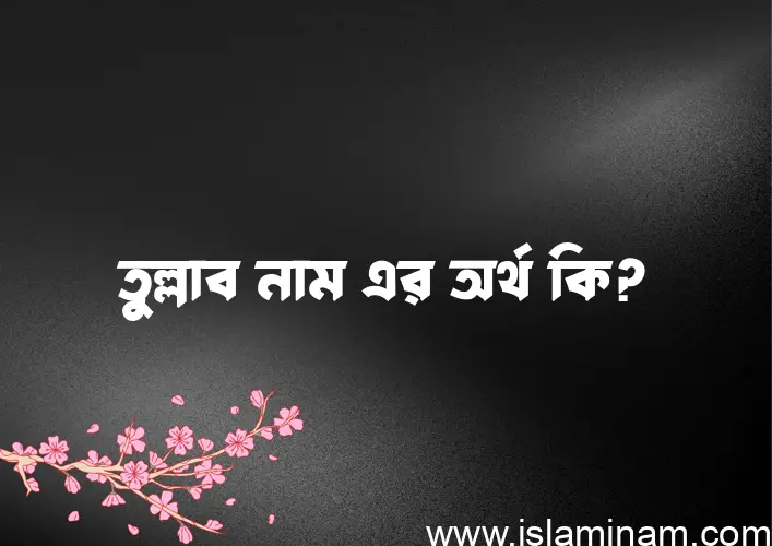 তুল্লাব নামের অর্থ কি? তুল্লাব নামের ইসলামিক অর্থ এবং বিস্তারিত তথ্য সমূহ