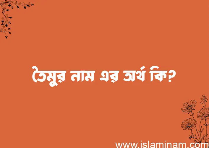 তৈমুর নামের অর্থ কি? তৈমুর নামের বাংলা, আরবি/ইসলামিক অর্থসমূহ