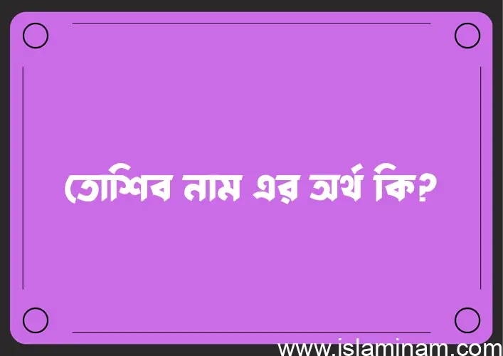 তোশিব নামের অর্থ কি? (ব্যাখ্যা ও বিশ্লেষণ) জানুন