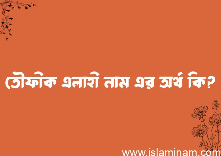 তৌফীক এলাহী নামের অর্থ কি? (ব্যাখ্যা ও বিশ্লেষণ) জানুন