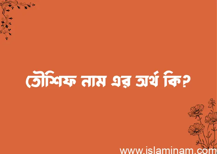 তৌশিফ নামের অর্থ কি এবং ইসলাম কি বলে? (বিস্তারিত)