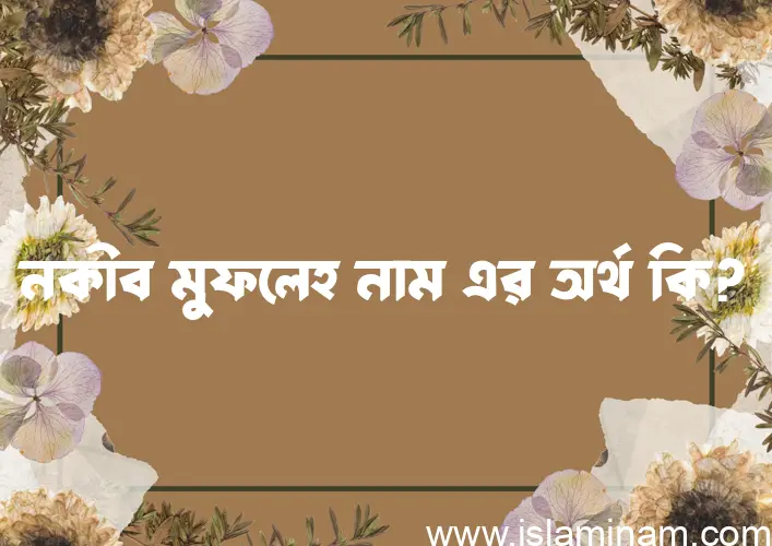 নকীব মুফলেহ নামের অর্থ কি? নকীব মুফলেহ নামের বাংলা, আরবি/ইসলামিক অর্থসমূহ