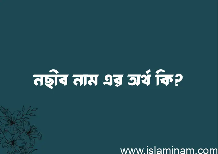 নছীব নামের অর্থ কি? নছীব নামের বাংলা, আরবি/ইসলামিক অর্থসমূহ