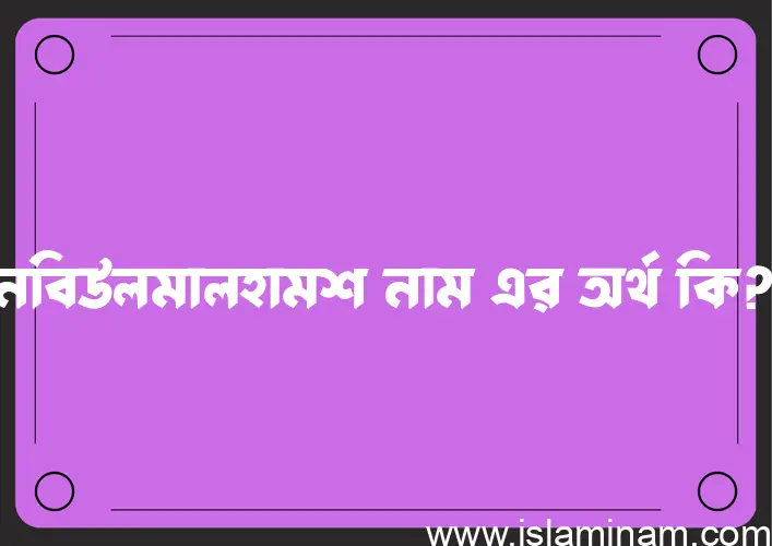 নবিউলমালহামশ নামের অর্থ কি? নবিউলমালহামশ নামের বাংলা, আরবি/ইসলামিক অর্থসমূহ