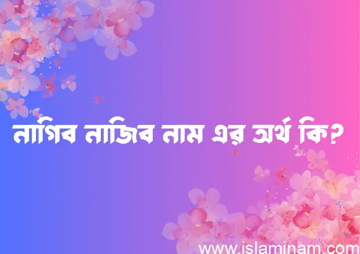 নাগিব নাজিব নামের অর্থ কি? নাগিব নাজিব নামের বাংলা, আরবি/ইসলামিক অর্থসমূহ