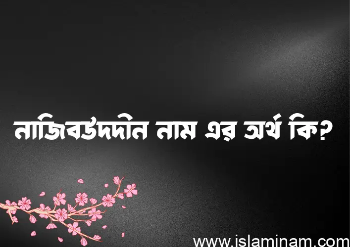 নাজিবউদদীন নামের অর্থ কি? নাজিবউদদীন নামের বাংলা, আরবি/ইসলামিক অর্থসমূহ