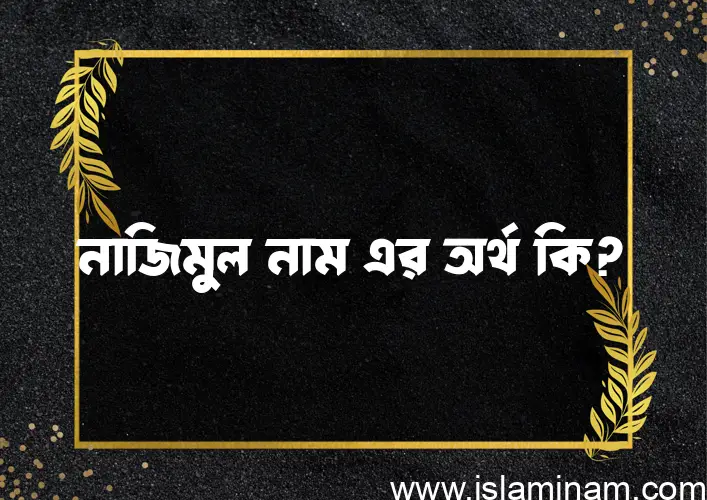 নাজিমুল নামের অর্থ কি? নাজিমুল নামের বাংলা, আরবি/ইসলামিক অর্থসমূহ