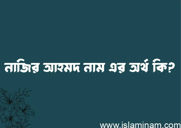 নাজির আহমদ নামের অর্থ কি? নাজির আহমদ নামের ইসলামিক অর্থ এবং বিস্তারিত তথ্য সমূহ