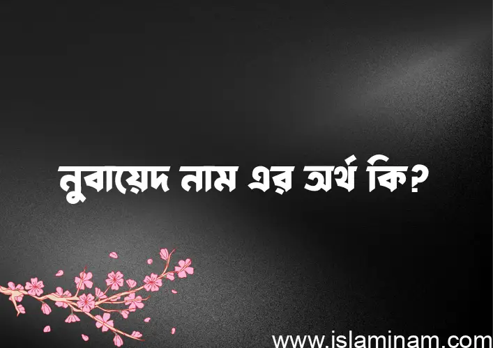 নুবায়েদ নামের অর্থ কি এবং ইসলাম কি বলে? (বিস্তারিত)