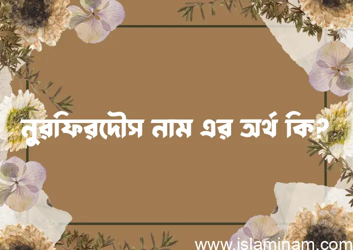 নুরফিরদৌস নামের অর্থ কি এবং ইসলাম কি বলে? (বিস্তারিত)