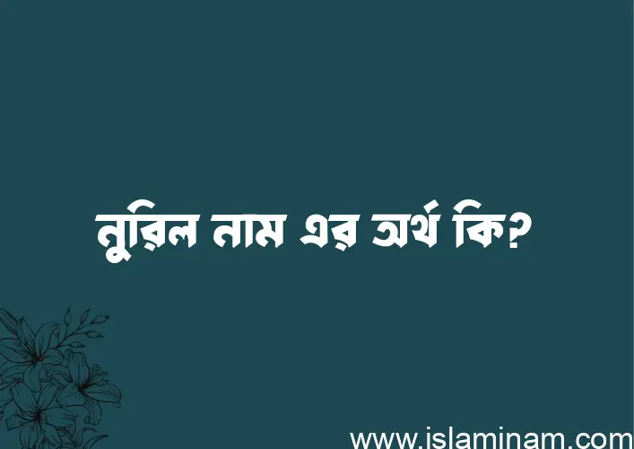 নুরিল নামের অর্থ কি? নুরিল নামের বাংলা, আরবি/ইসলামিক অর্থসমূহ