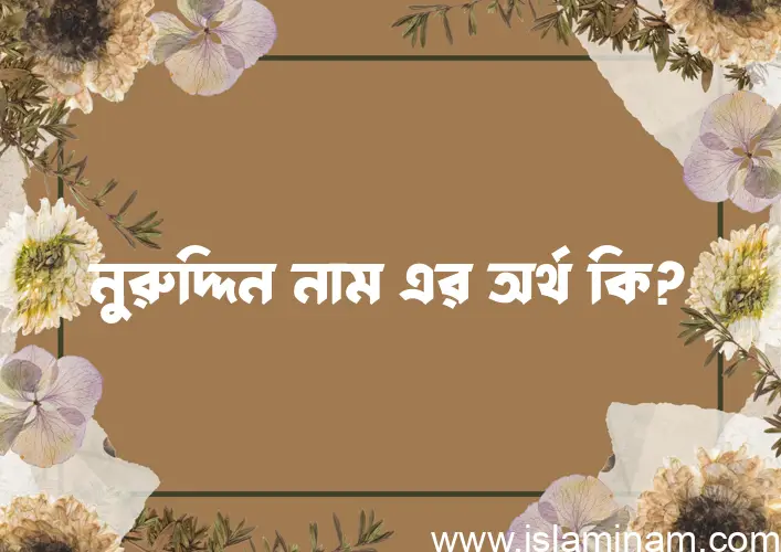 নুরুদ্দিন নামের অর্থ কি? নুরুদ্দিন নামের বাংলা, আরবি/ইসলামিক অর্থসমূহ