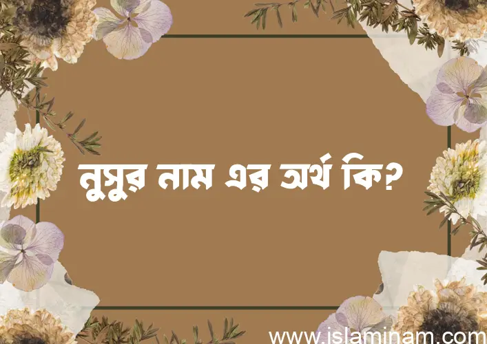 নুসুর নামের অর্থ কি? নুসুর নামের বাংলা, আরবি/ইসলামিক অর্থসমূহ