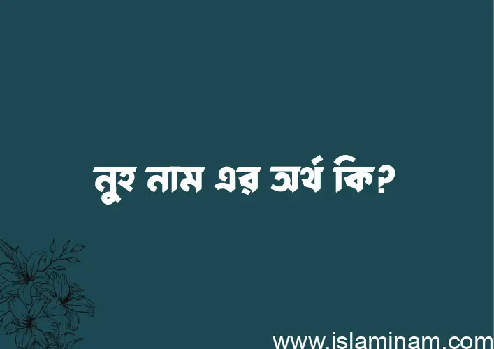 নুহ নামের অর্থ কি? নুহ নামের বাংলা, আরবি/ইসলামিক অর্থসমূহ