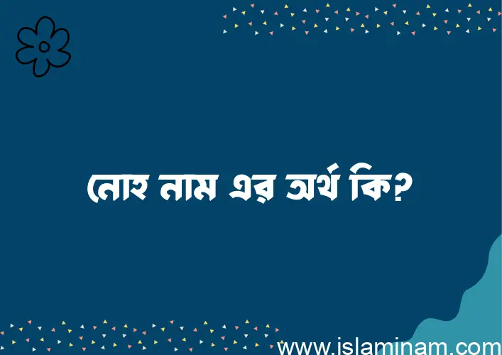 নোহ নামের অর্থ কি? নোহ নামের বাংলা, আরবি/ইসলামিক অর্থসমূহ