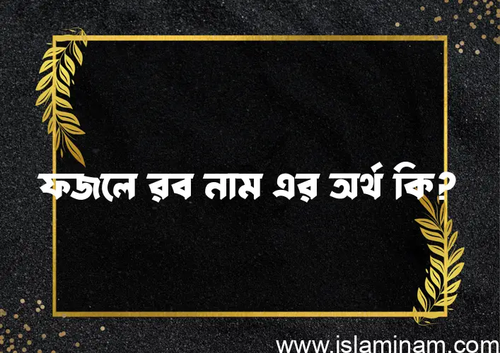 ফজলে রব নামের অর্থ কি এবং ইসলাম কি বলে? (বিস্তারিত)