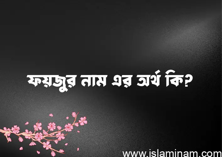 ফয়জুর নামের অর্থ কি? ফয়জুর নামের বাংলা, আরবি/ইসলামিক অর্থসমূহ