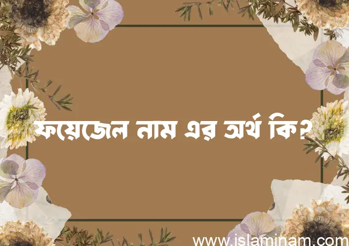 ফয়েজেল নামের অর্থ কি? (ব্যাখ্যা ও বিশ্লেষণ) জানুন