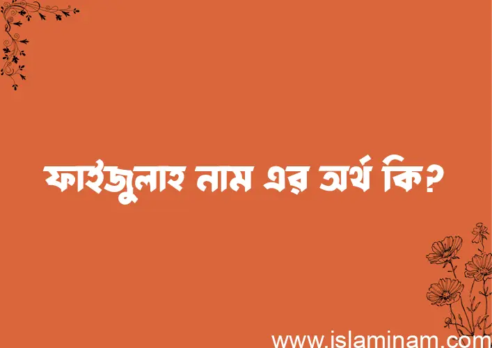 ফাইজুলাহ নামের অর্থ কি, ইসলামিক আরবি এবং বাংলা অর্থ জানুন