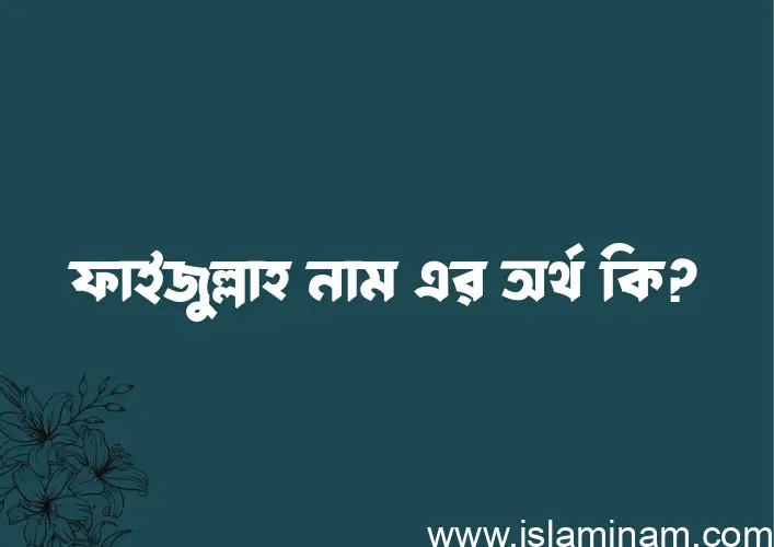 ফাইজুল্লাহ নামের অর্থ কি? ফাইজুল্লাহ নামের বাংলা, আরবি/ইসলামিক অর্থসমূহ