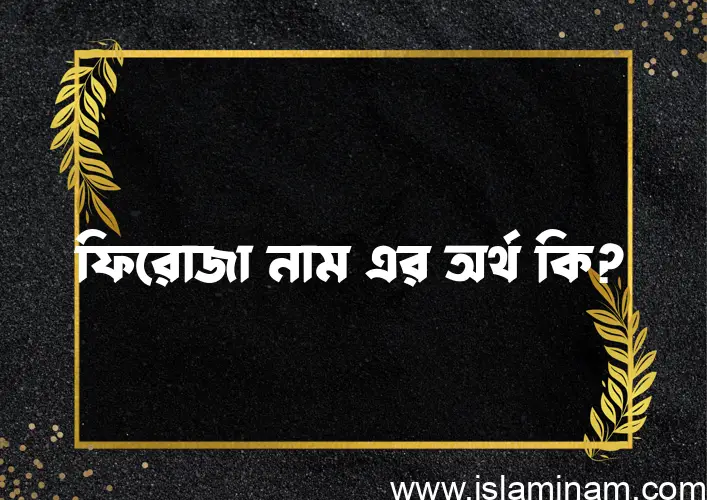 ফিরোজা নামের অর্থ কি? ফিরোজা নামের ইসলামিক অর্থ এবং বিস্তারিত তথ্য সমূহ