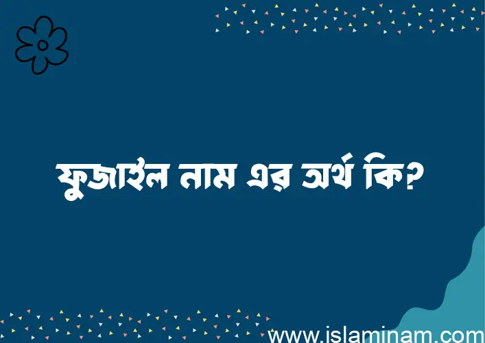 ফুজাইল নামের অর্থ কি? (ব্যাখ্যা ও বিশ্লেষণ) জানুন