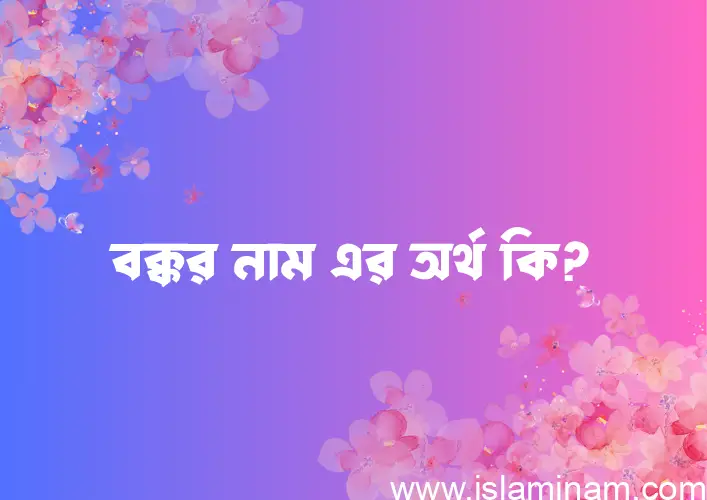 বক্কর নামের অর্থ কি? ইসলামিক আরবি বাংলা অর্থ