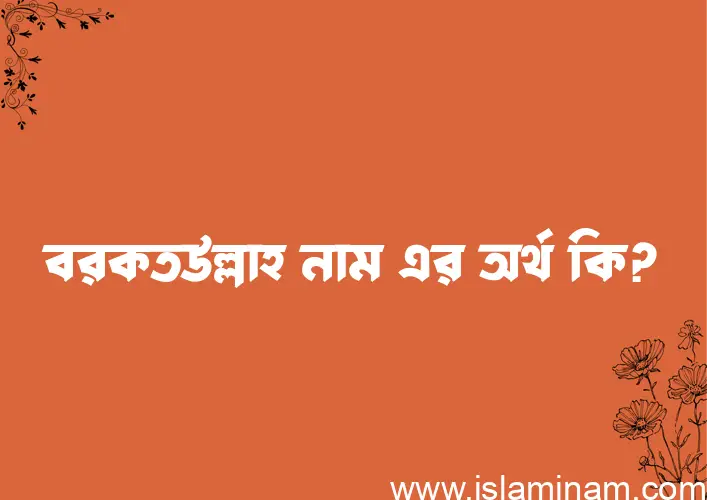 বরকতউল্লাহ নামের অর্থ কি? (ব্যাখ্যা ও বিশ্লেষণ) জানুন