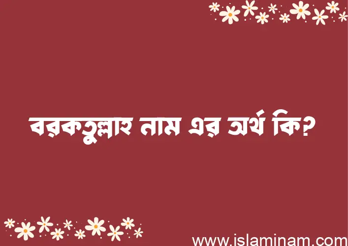 বরকতুল্লাহ নামের অর্থ কি? ইসলামিক আরবি বাংলা অর্থ