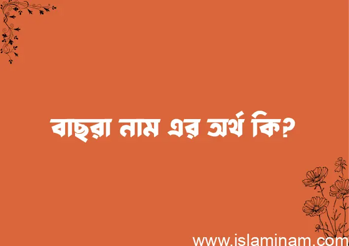 বাছরা নামের অর্থ কি? ইসলামিক আরবি বাংলা অর্থ এবং নামের তাৎপর্য