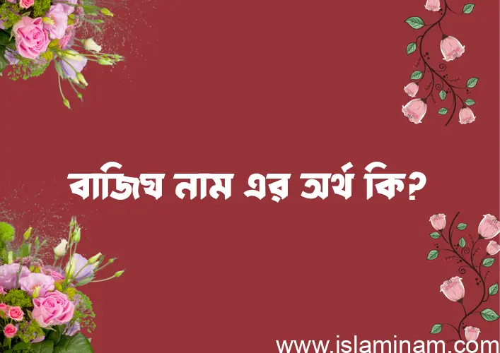 বাজিঘ নামের অর্থ কি এবং ইসলাম কি বলে? (বিস্তারিত)