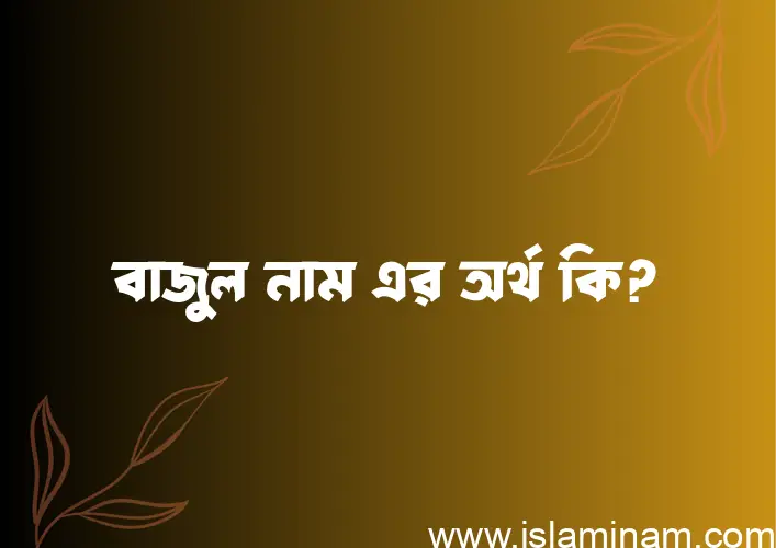 বাজুল নামের অর্থ কি? ইসলামিক আরবি বাংলা অর্থ এবং নামের তাৎপর্য