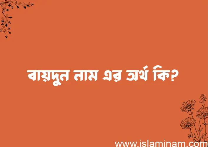 বায়দুন নামের অর্থ কি এবং ইসলাম কি বলে? (বিস্তারিত)