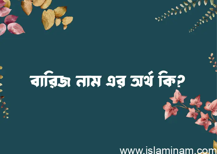 বারিজ নামের অর্থ কি? বারিজ নামের বাংলা, আরবি/ইসলামিক অর্থসমূহ