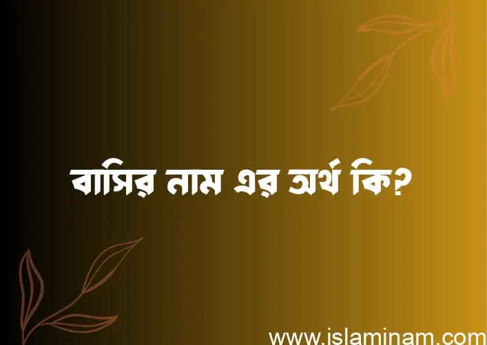 বাসির নামের অর্থ কি? বাসির নামের বাংলা, আরবি/ইসলামিক অর্থসমূহ