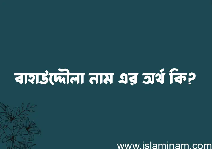 বাহাউদ্দৌলা নামের অর্থ কি এবং ইসলাম কি বলে? (বিস্তারিত)