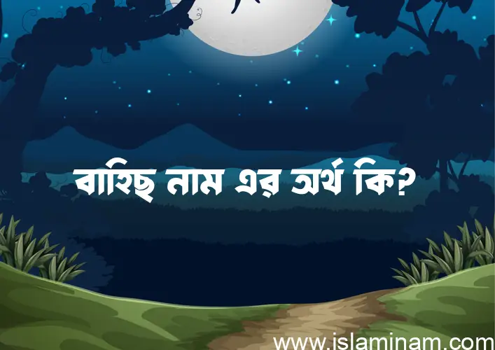 বাহিছ নামের আর্থ কি?