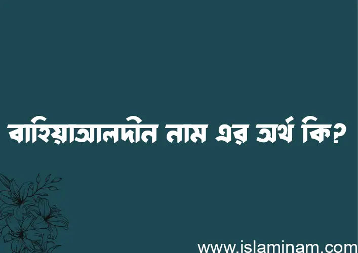 বাহিয়াআলদীন নামের অর্থ কি? বাহিয়াআলদীন নামের বাংলা, আরবি/ইসলামিক অর্থসমূহ