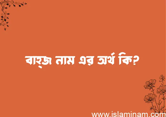 বাহ্জ নামের অর্থ কি? বাহ্জ নামের ইসলামিক অর্থ এবং বিস্তারিত তথ্য সমূহ